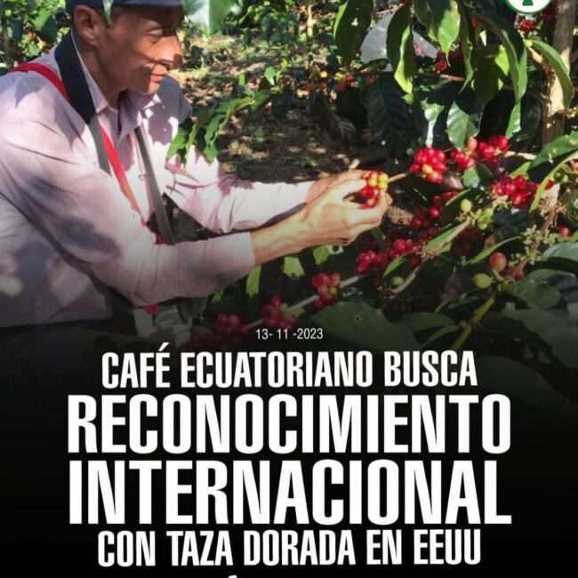 415541828_3686088718342477_5682583624302457173_n-650×650