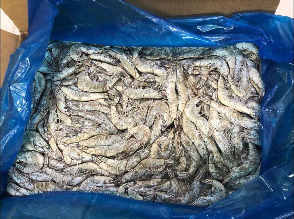 415605569_3686105528340796_2450880742832072581_n