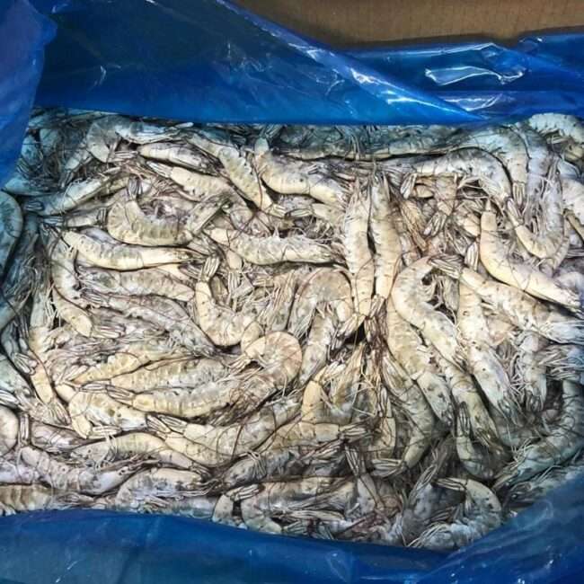 415605569_3686105528340796_2450880742832072581_n-650×650