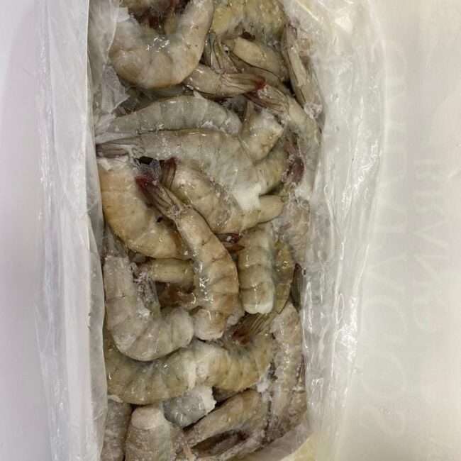 415660135_3686105481674134_2170293515517266908_n-650×650