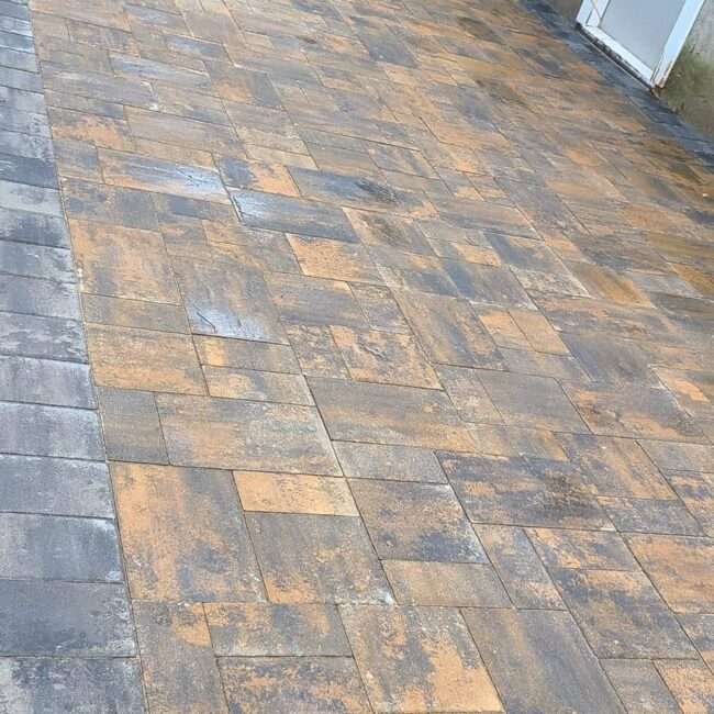 WhatsApp-Image-2024-09-21-at-09.50.47_979295e3-650×650