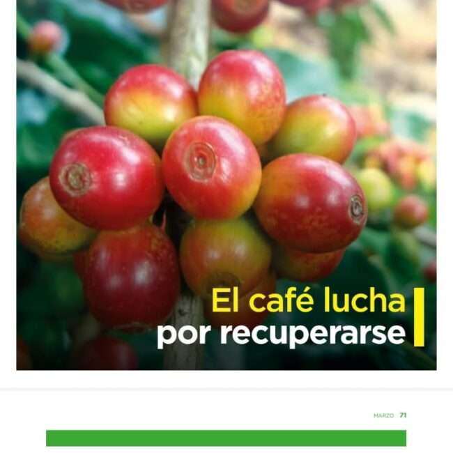 WhatsApp-Image-2024-09-21-at-10.10.40_1bbcad23-650×650