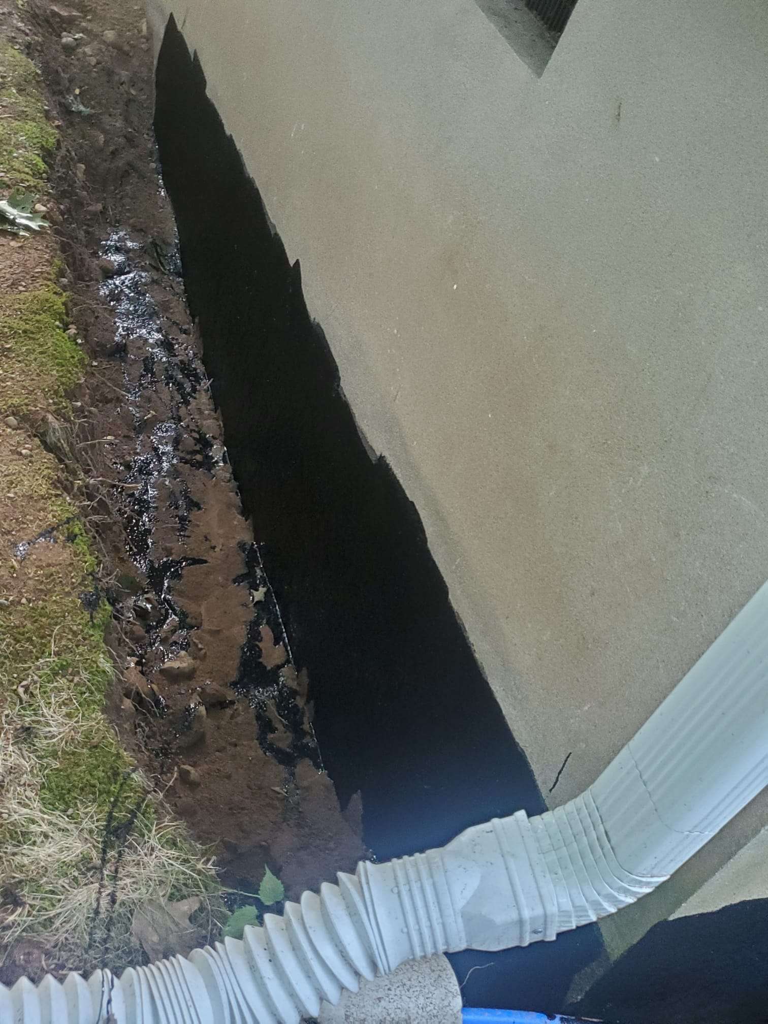 WhatsApp Image 2024-09-22 at 14.18.35_19a1c2d2