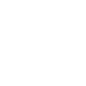 icon-white-02.png
