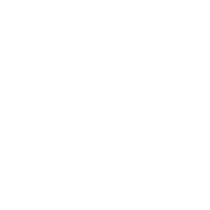 icon-white-03.png