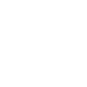 icon-white-04.png