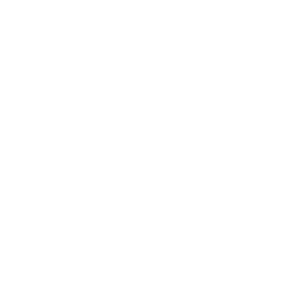 icon-white-06.png